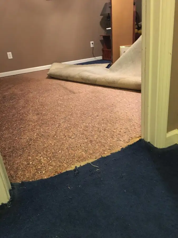 Carpet pad removal revealing water damage during Drying & Dehumidification in East Bridgewater
