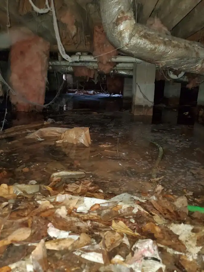 Crawl space flood assessment for Commercial Water Damage Restoration in East Bridgewater